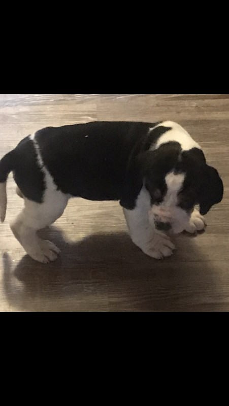 B4DAB121-239C-452E-ACE7-8A146A7004EB