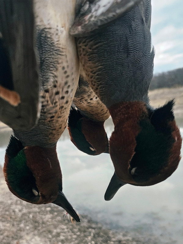 Screenshot 20260122 211608 Gallery