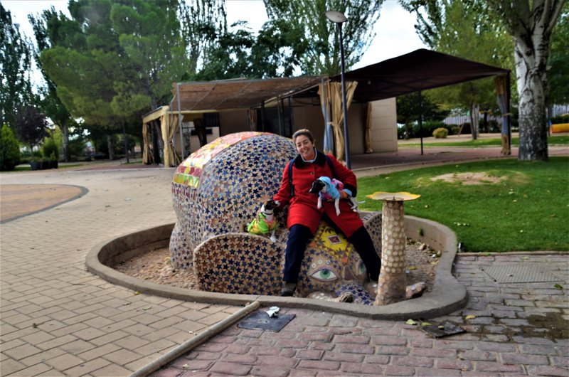 Las Pedroñeras-9-11-2016 - Cuenca y sus pueblos-2009/2011/2015/2016 (23)