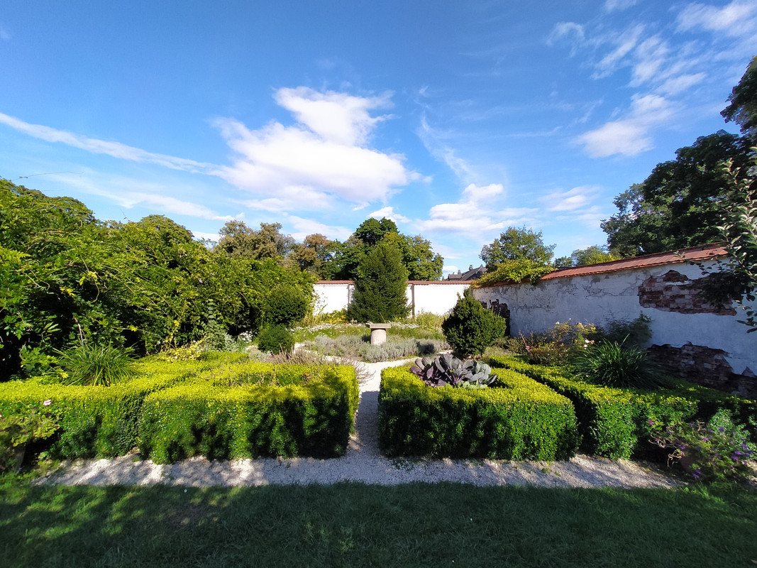 003 - IMG20210904155056