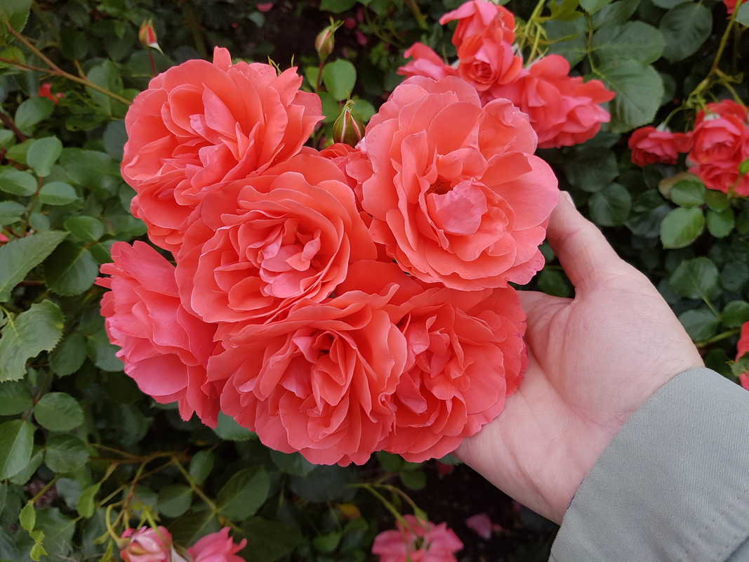 20190703_074108
