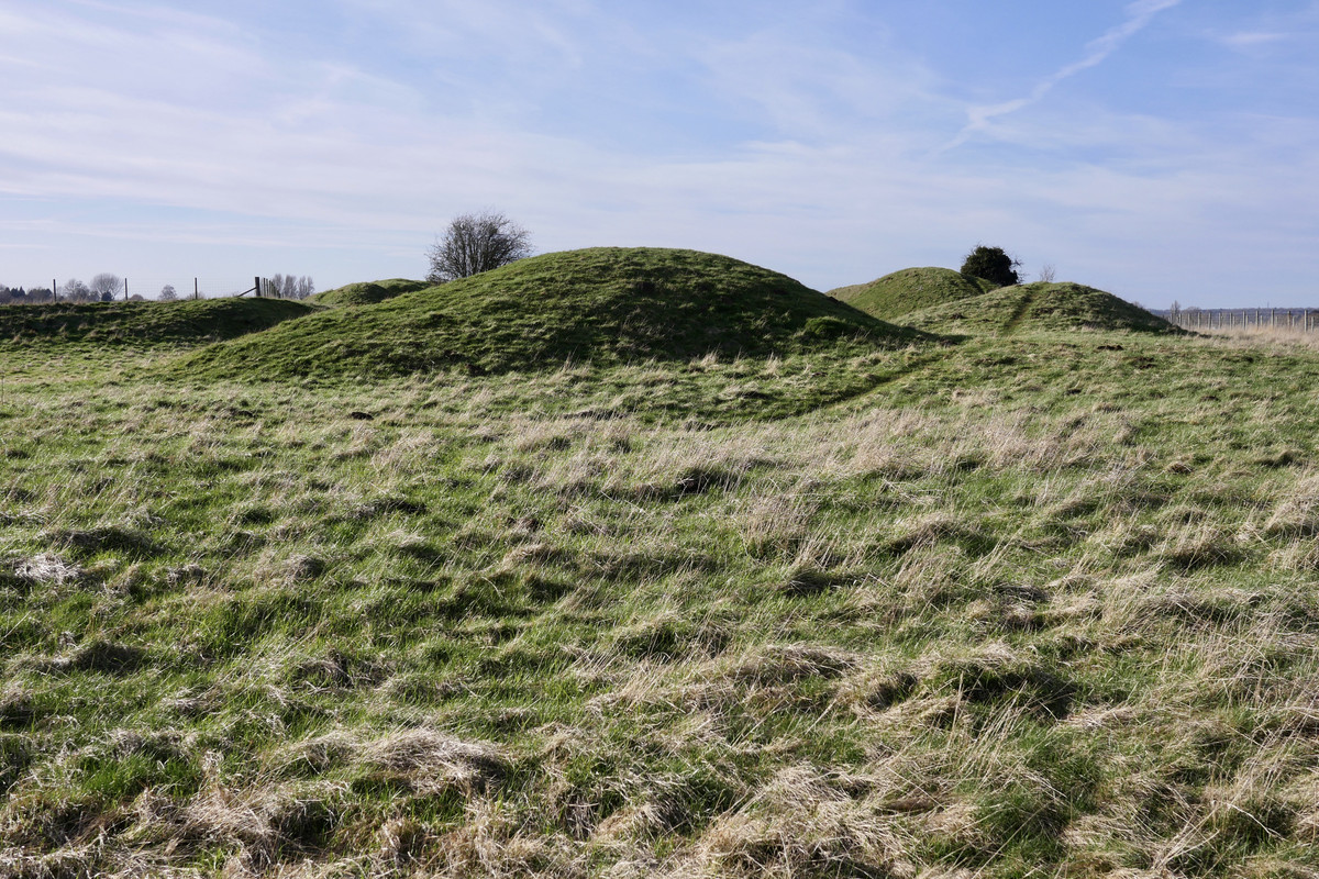 0DE2DCFB-2889-4A19-82F1-B1E8557B85A4