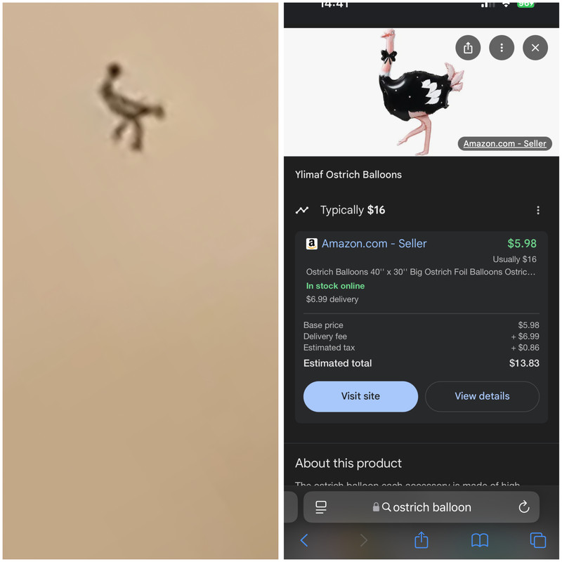 9AB431B3-D112-498C-B66E-203B620C6DCC