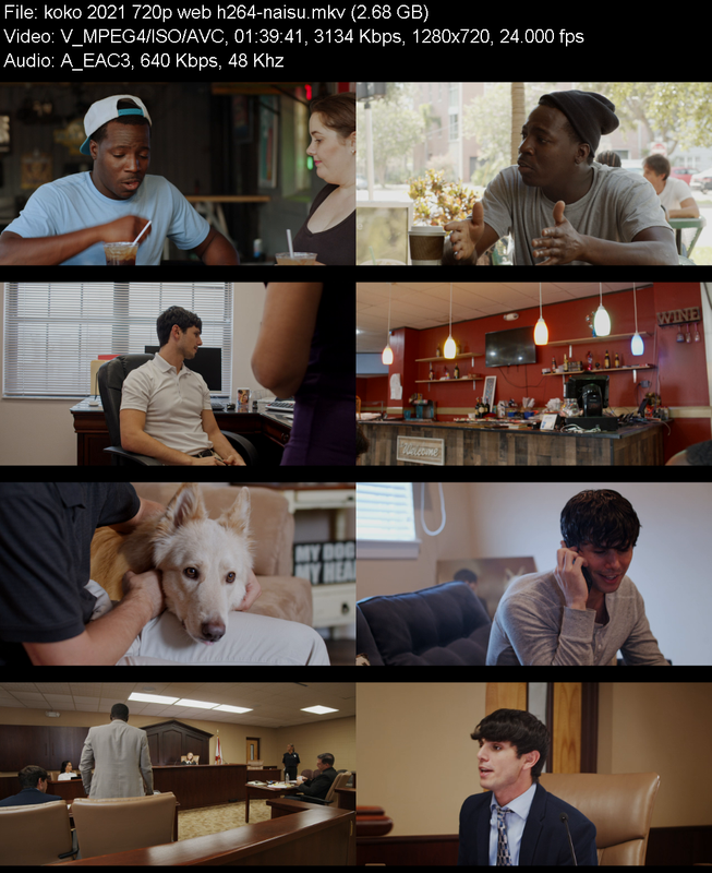 koko-2021-720p-web-h264-naisu.png