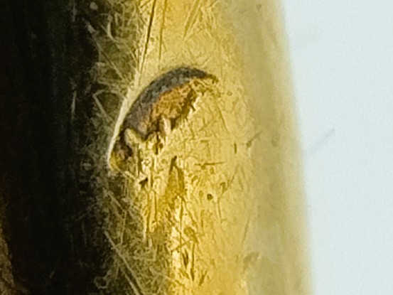 IMG 20260701 224215855