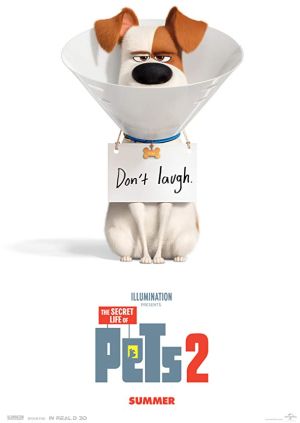The Secret Life of Pets 2 2019 3D HSBS Bluray X264 – YTS.LT