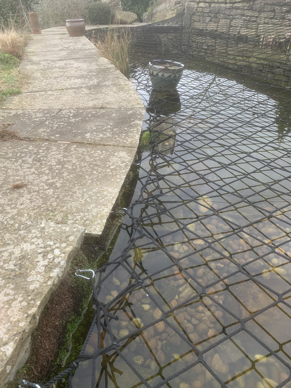 Pond netting for child safety any experiences and tips? Pond Design and Construction Forum