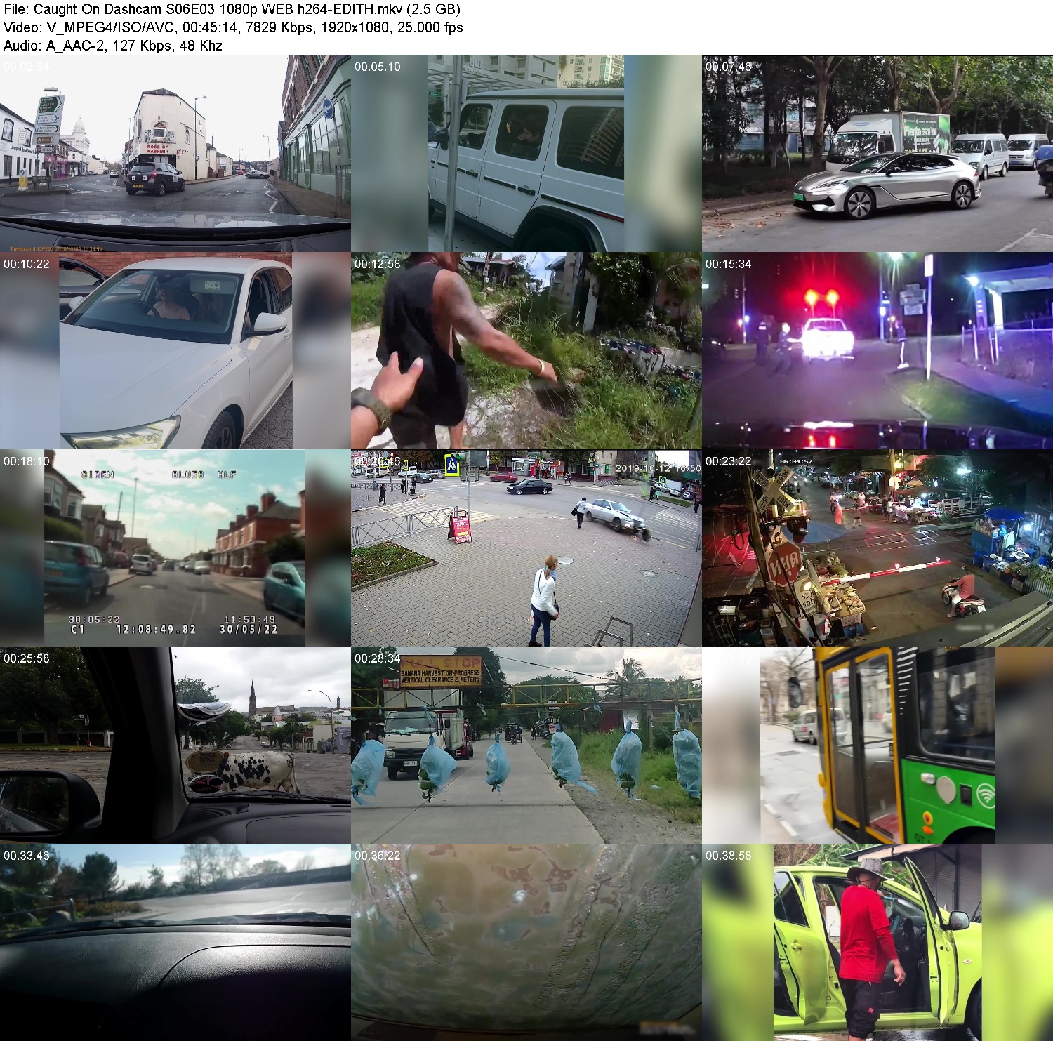 [Image: y0tzr2t9p2rn.jpg]