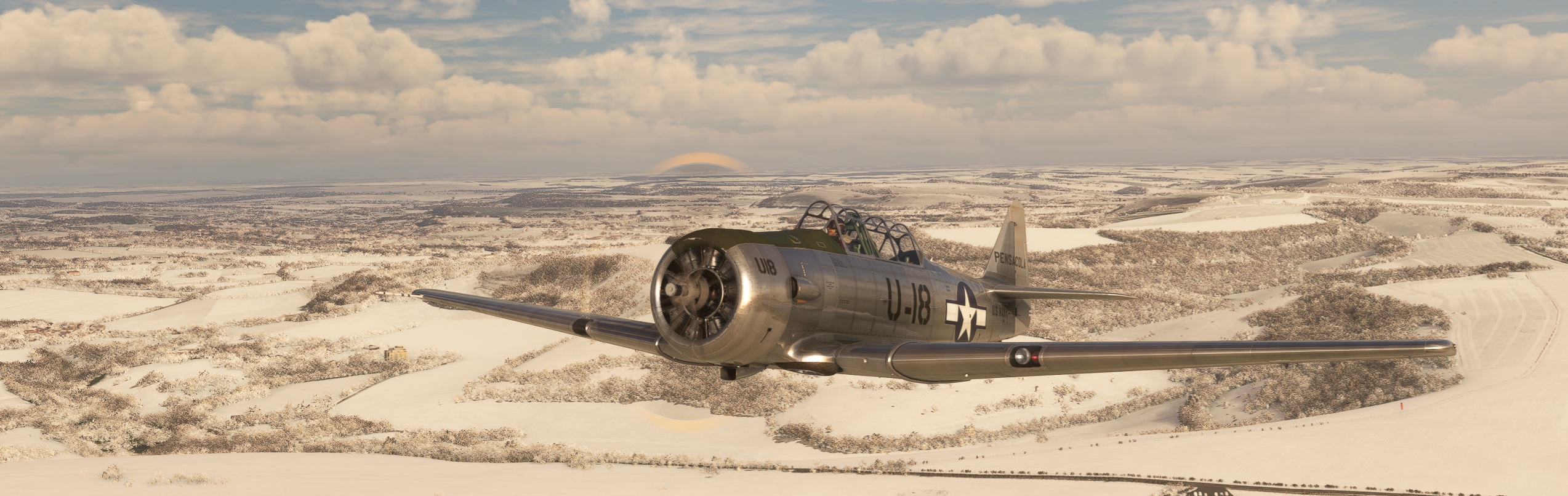 Snowy-Harvard-CA.jpg