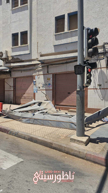 494815108-1046301683539902-4401994041758967362-n