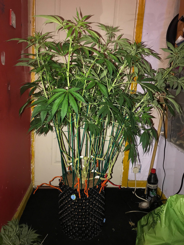 4DA76E0B-C505-4B22-A5A8-3BC3522338A0