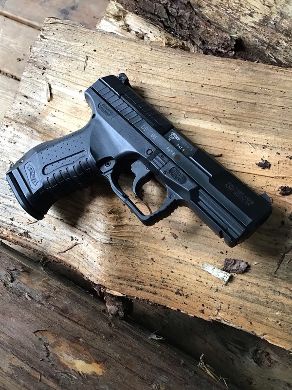 CEBA197B-D8C0-46BD-A311-1BEB277A1AD2