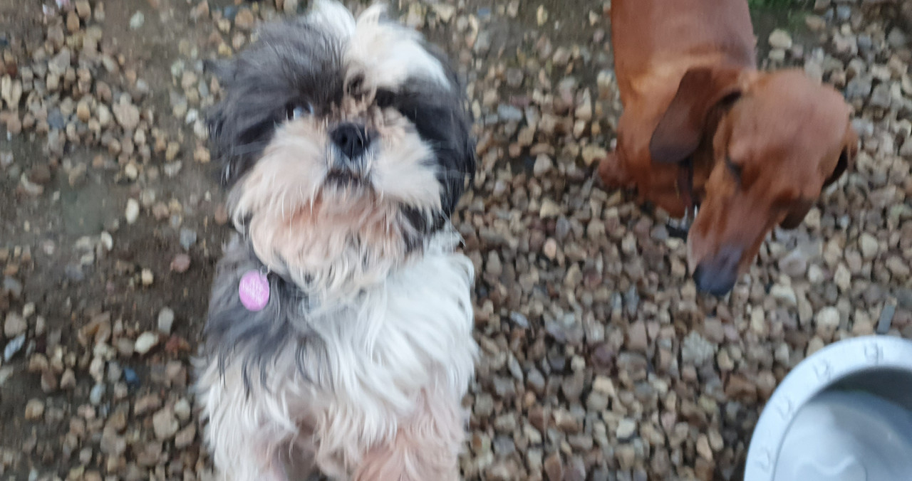 [Image: 20230314-184736.jpg]