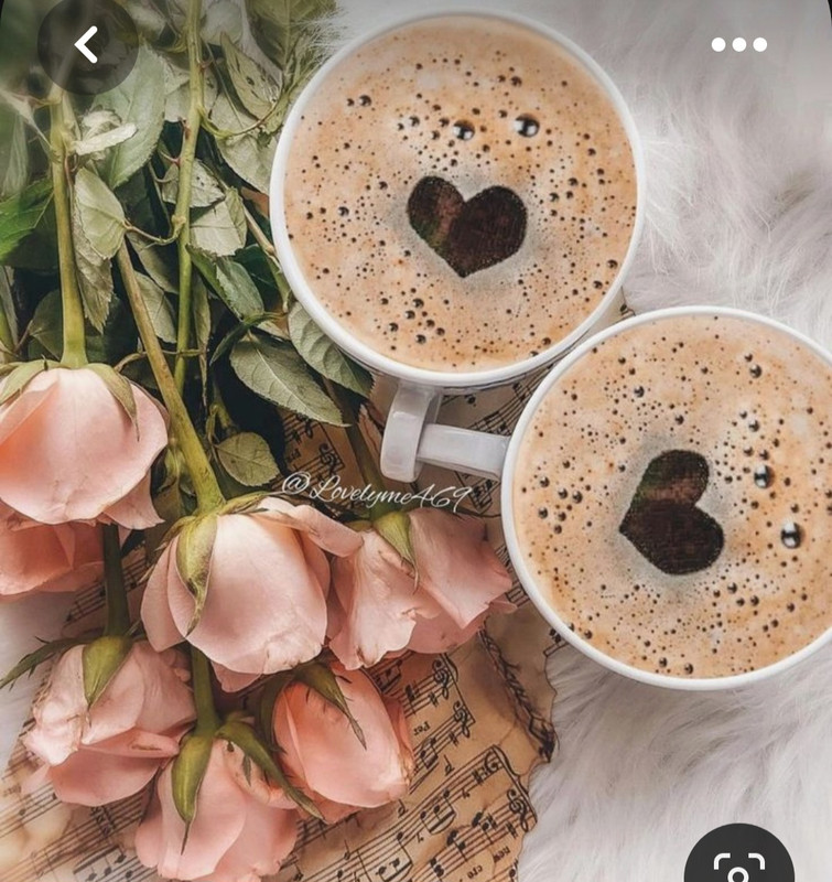 Screenshot_20230517_004038_Pinterest