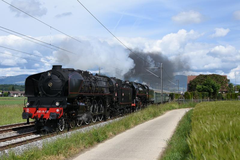 DSC-7475-241-A-65-Dt-141-R-1244-a-Herzog