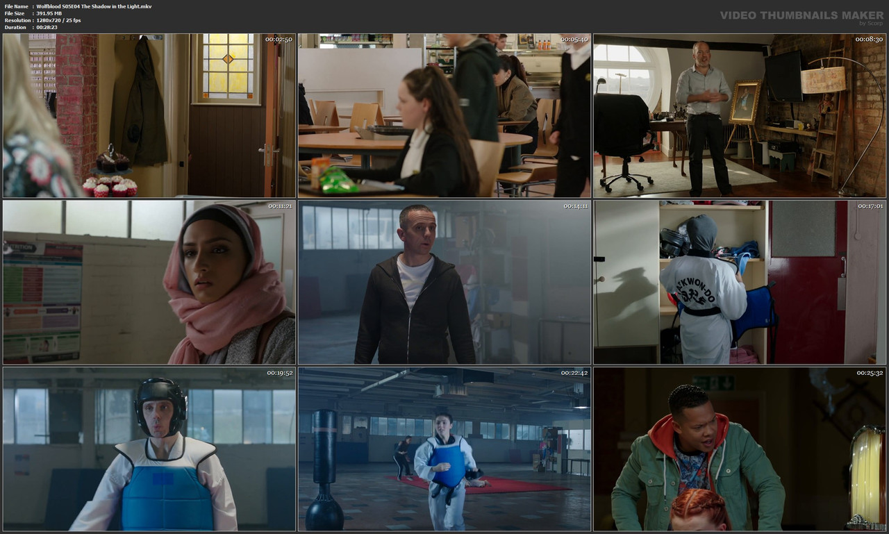 Wolfblood S05E04 The Shadow in the Light.mkv