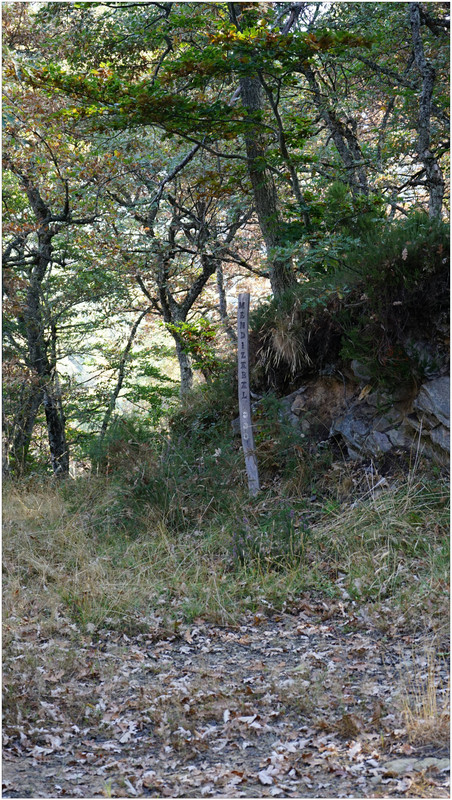 DSC07976