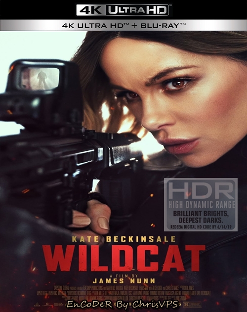Lwica / Wildcat (2025)MULTI.HDR.2160p.WEB.DL.DDP-ChrisVPS / LEKTOR i NAPISY