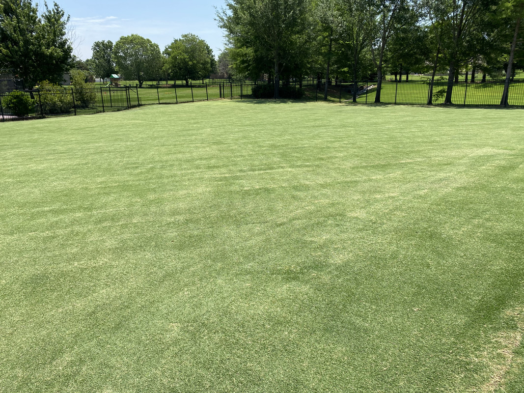 D896A1B5-AE4F-4D85-93D7-0A05494FF2CA