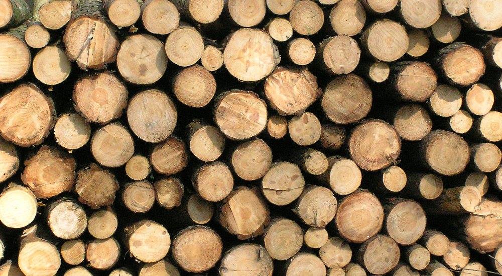 wood-texture-3dsmax-82
