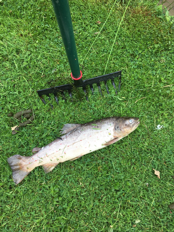 31A4532A-9CD6-4B5D-838E-96CF1D09B1B8