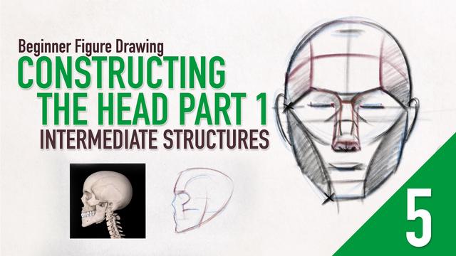 Beginner Figure Drawing - Constructing The Head Part 1 - Intermediate Structures