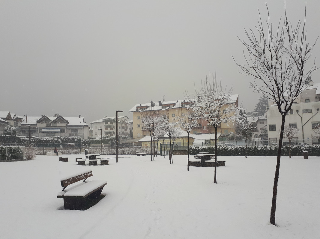 20190201_140533