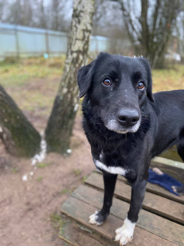 photo 2025 11 29 20 56 02