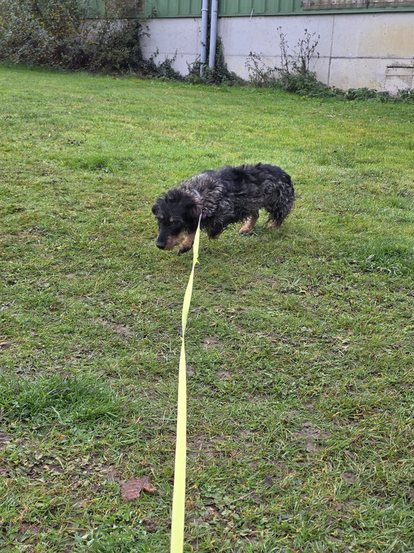 [Image: IMG-20251110-WA0009.jpg]