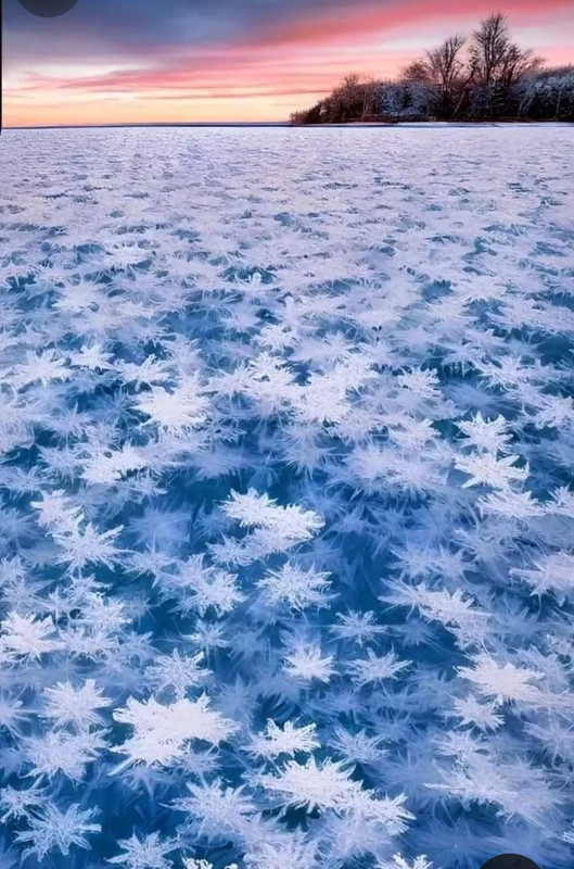 Screenshot_20240116_222149_Pinterest