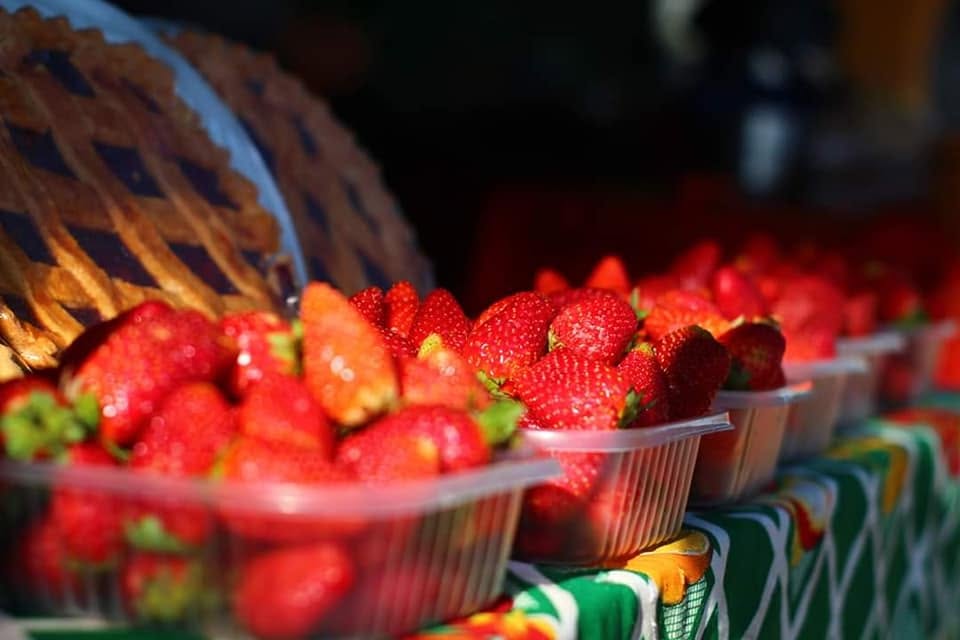 Feria de la Frutilla, Areguá
