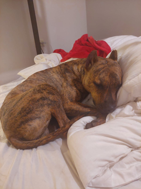 36B64AC2-14E4-4BD8-8FA6-E9D33F27D2CF