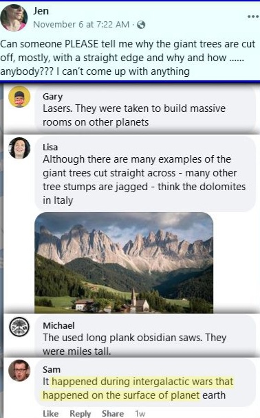 [Image: C1.jpg]