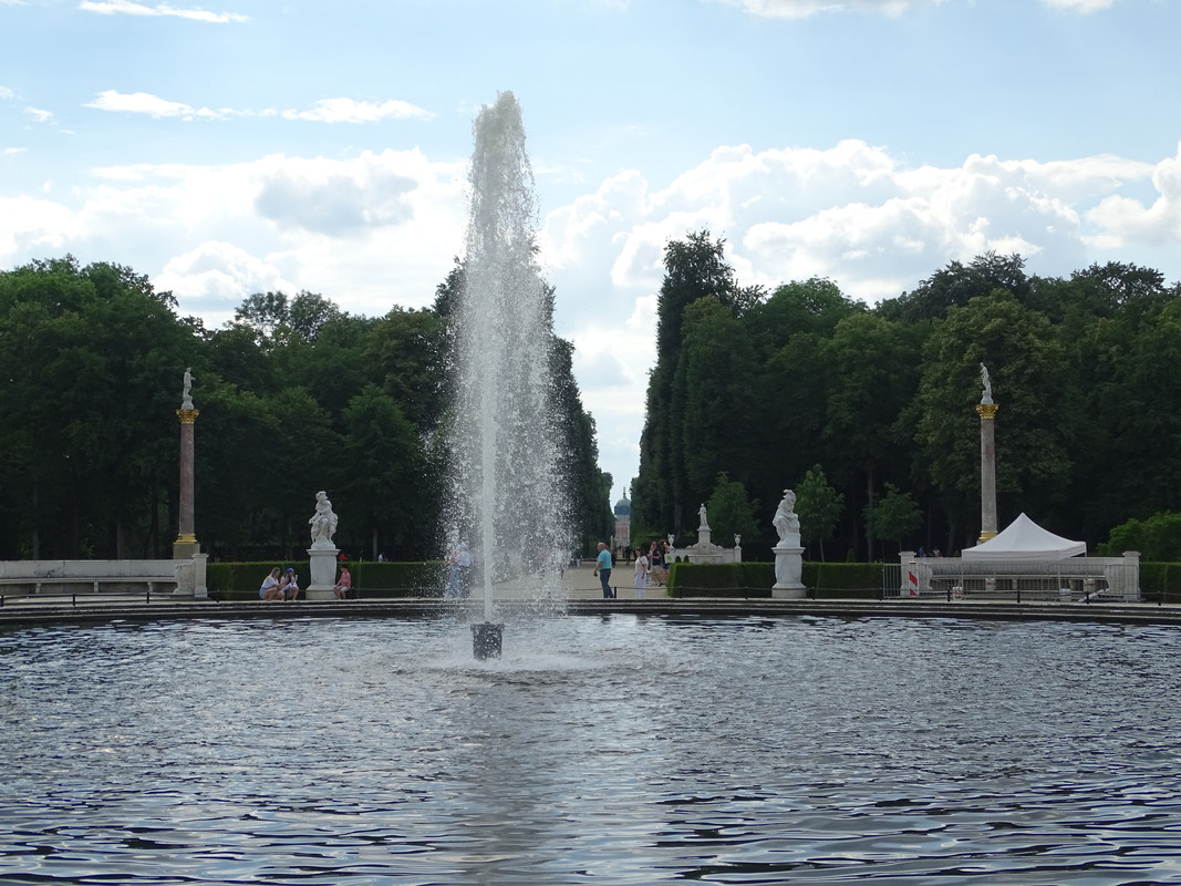DSC00426.jpg