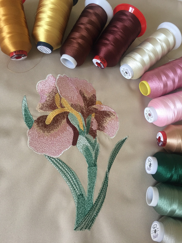 6036FBA2-AA67-40CA-960F-B37DF4DECB99