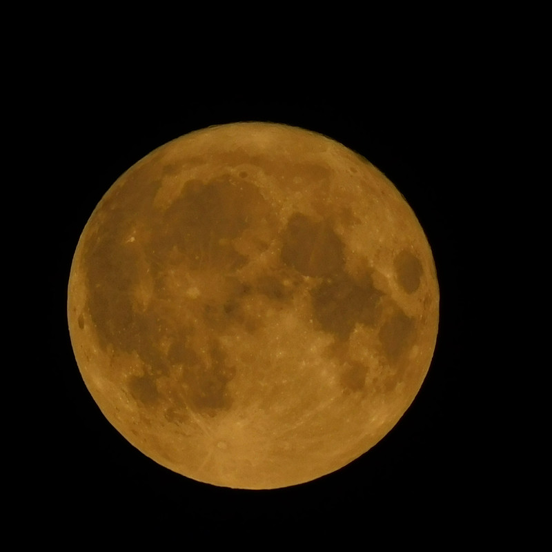 Август дачный кукольный 2023 005