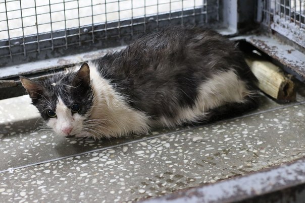 E9425560-AFF6-4148-8F90-8746A3415FC0