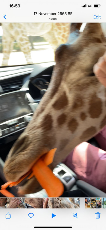 B991E2F8-DA38-4CB8-9BF7-EEBA2B8D7853