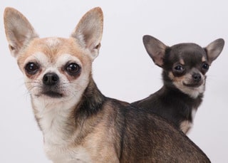 381548A7-49BF-41A7-B939-2E8B4E8791F7