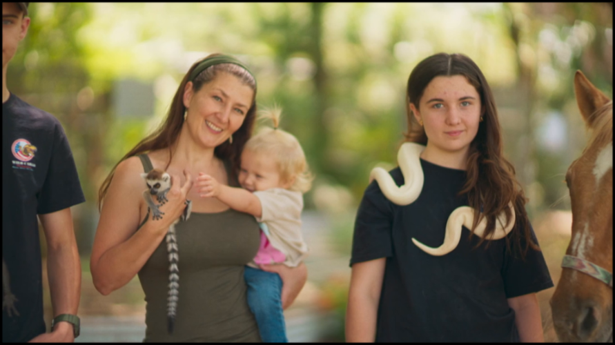 [Image: ek1c4u5l1ygg.png]