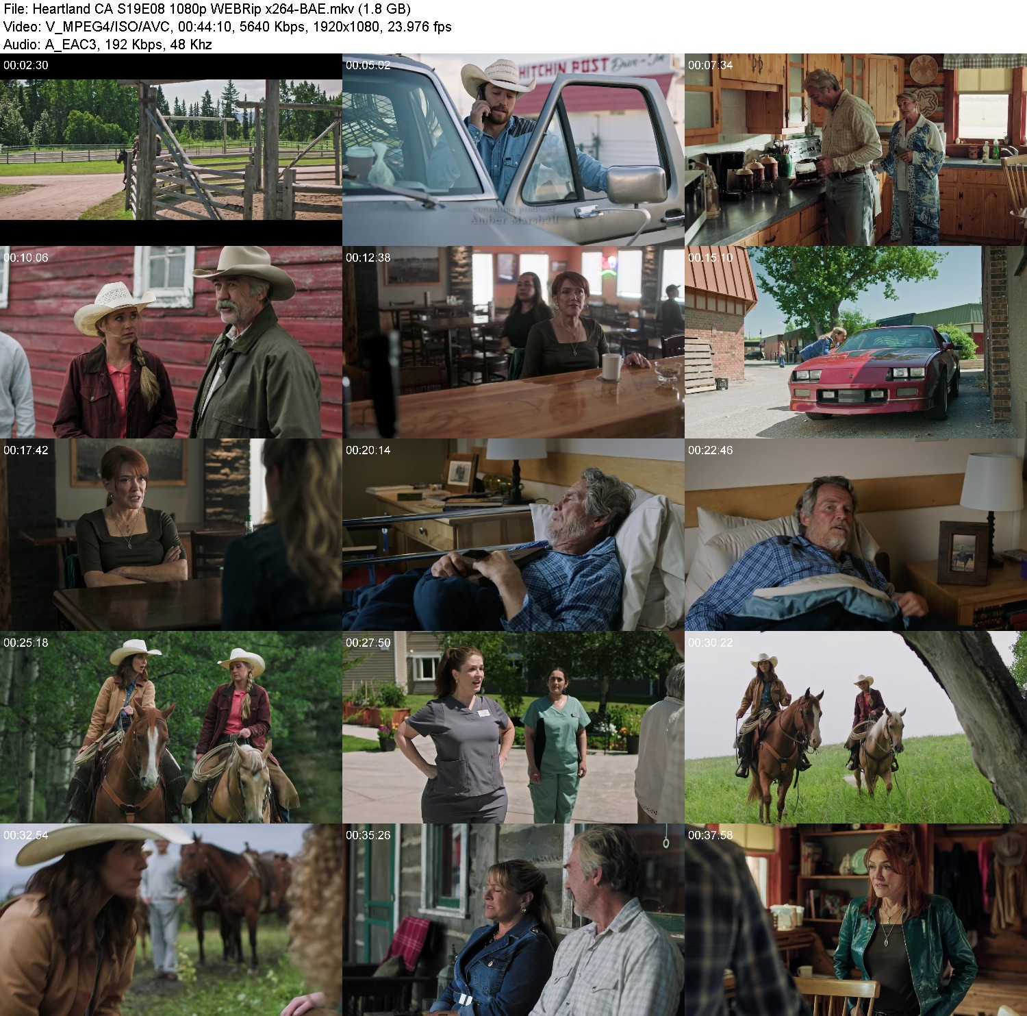 [Image: gx0916llcaia.jpg]