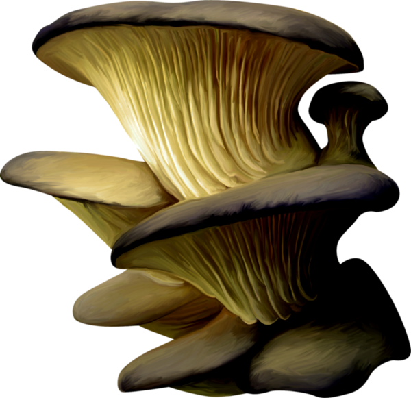 TADD_elements_AutumnFairyTales (54)