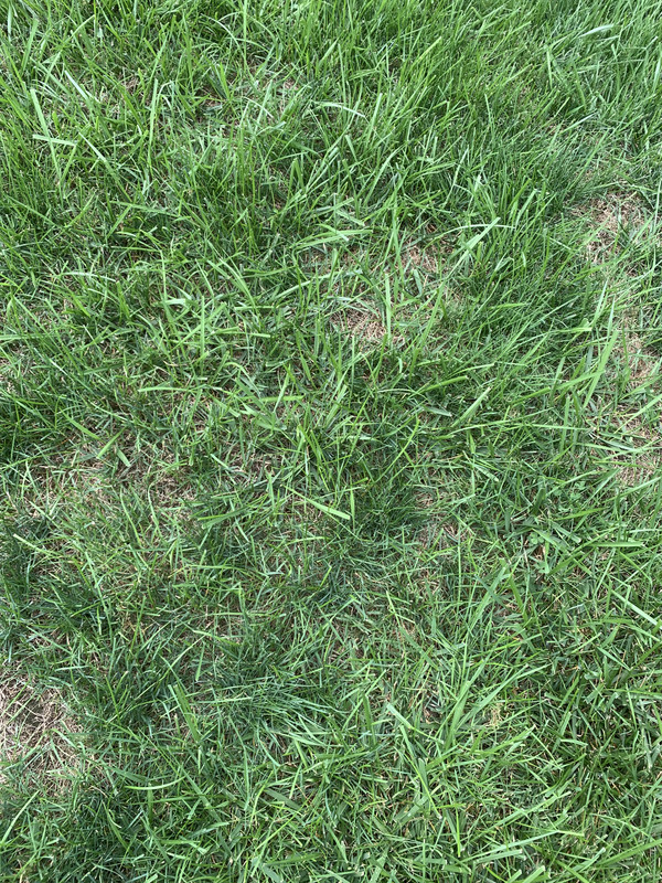 7514F0A0-A18A-4EC4-B72A-F737EB178110