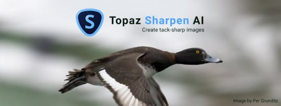 Topaz Sharpen AI 2.1.8 (x64)