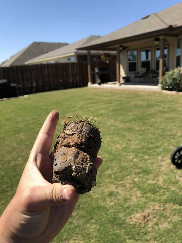 9FBE7838-D7B2-4557-9369-71660AFB0B9E