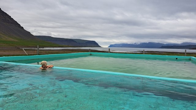 Islandia completa en 17 días con Landmannalaugar y fiordos Este y Oeste - Blogs de Islandia - DIA 11 JULIO/22 DESTINO LATRABJARG A VER FRAILECILLOS (7)