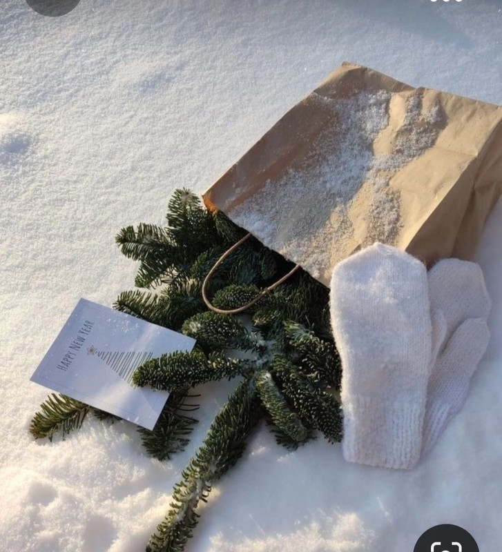 Screenshot_20231104_230206_Pinterest