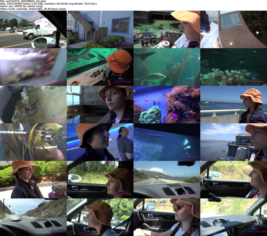 08082024115859screenshot