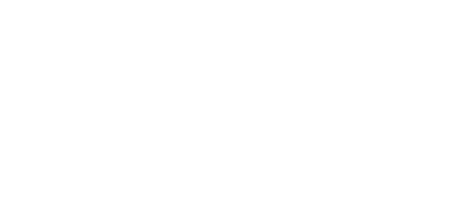 ALLPANELEXCH Logo