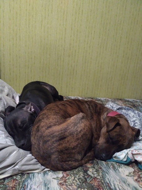 845776AA-D9D3-4D87-9C4C-09891907AE4A